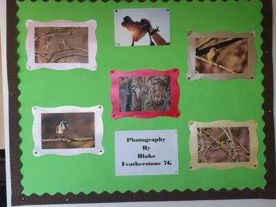 Photo Display