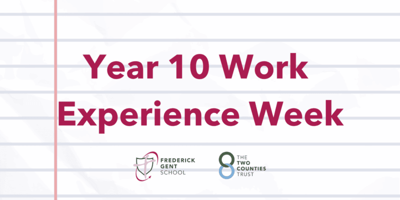 Work Experience